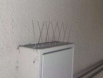 【 ハト飛来防止用 剣山 】