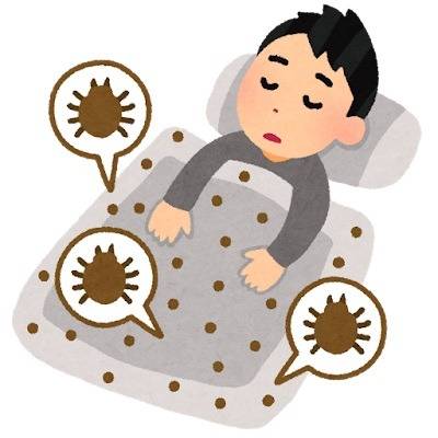 食品やたたみ、布団にダニが発生しやすい時期です |株式会社ハウスドクター